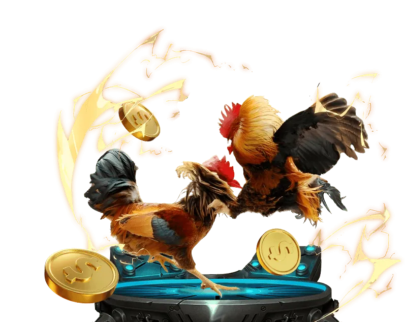 Hình ảnh quy trình sử dụng dữ liệu tại 11win game